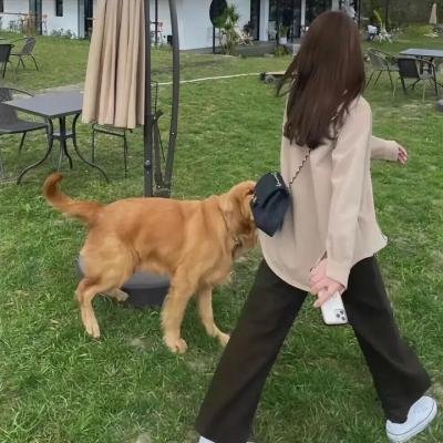今生无悔粤语